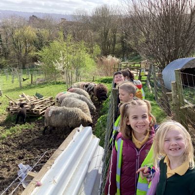 Trip to Bath City Farm